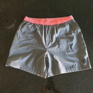 Chubbies Men Grey/Pink Shorts Size L